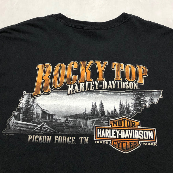 Harley Davidson T-Shirt Pigeon Forge Tennesse (4XL/TALL)