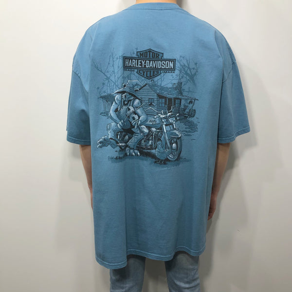Harley Davidson T-Shirt Gatlinburg Tennessee (2XL)