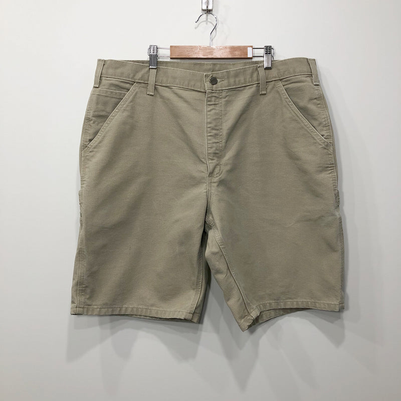 Carhartt Shorts (38)
