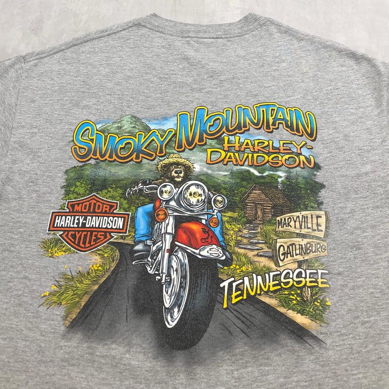 Harley Davidson T Shirt Smoky Mountain Tennessee USA L BIG