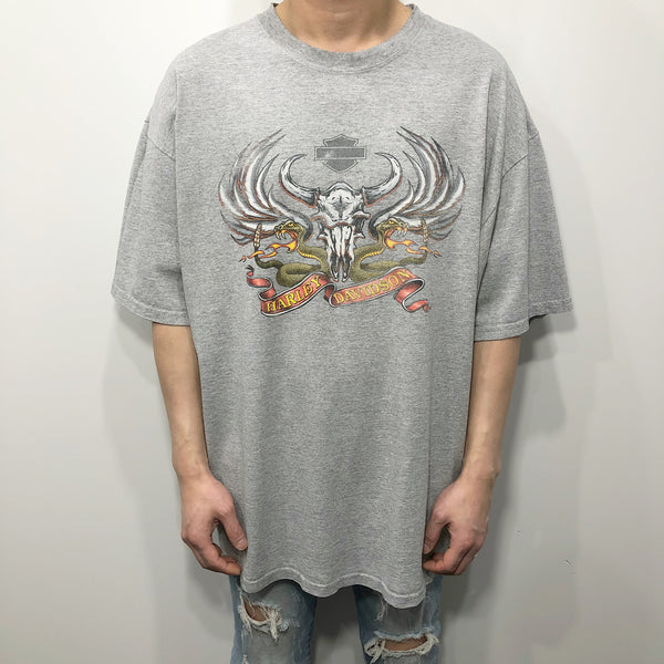 Harley Davidson T-Shirt Sarasota Florida USA (2XL)