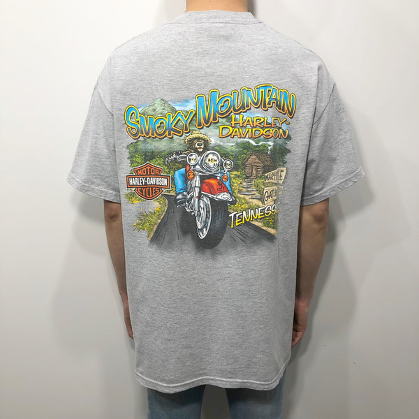 Harley Davidson T-Shirt Smoky Mountain Tennessee USA (L/BIG)
