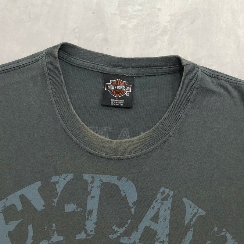 Harley Davidson T-Shirt Baja Mexico (XL)