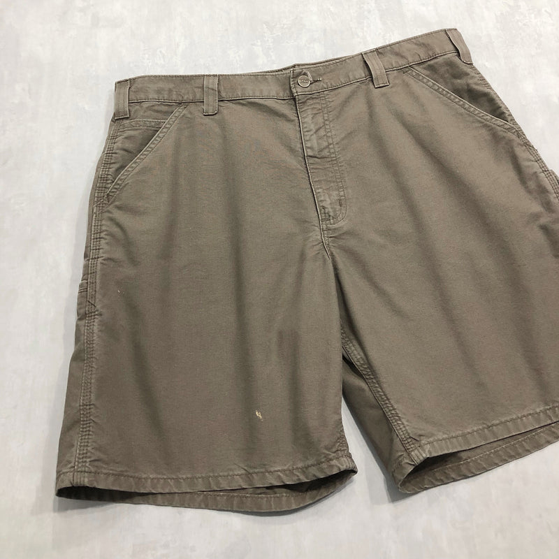 Carhartt Shorts (36-37)