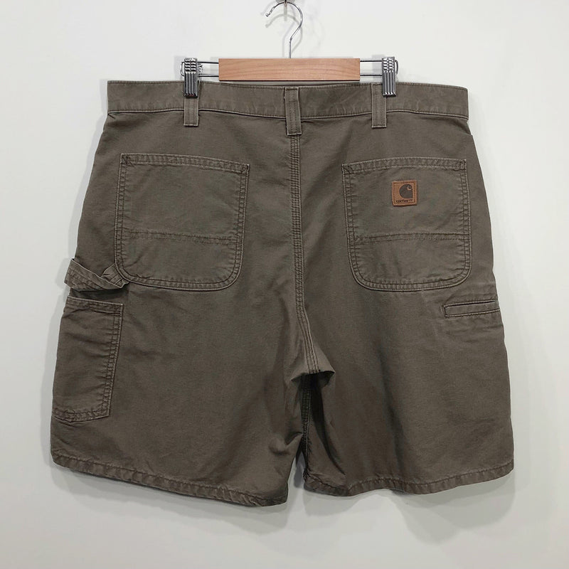 Carhartt Shorts (36-37)