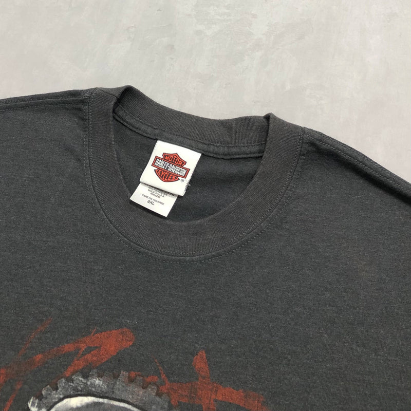 Harley Davidson T-Shirt Albany Oregon USA (2XL/TALL)