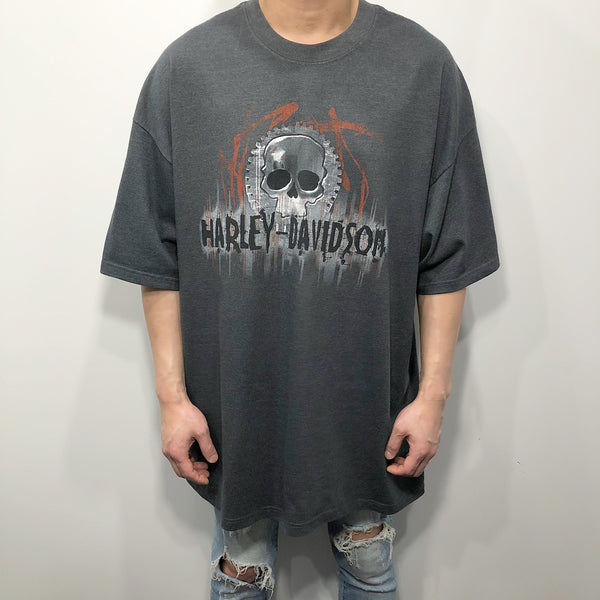 Harley Davidson T-Shirt Albany Oregon USA (2XL/TALL)