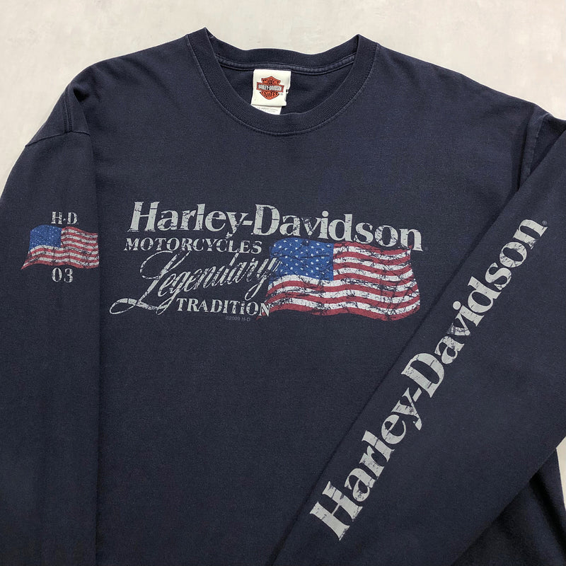 Harley Davidson T-Shirt Stuart Florida USA (L)