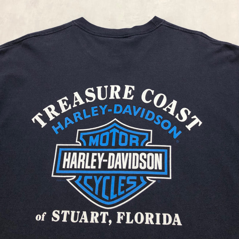 Harley Davidson T-Shirt Stuart Florida USA (L)