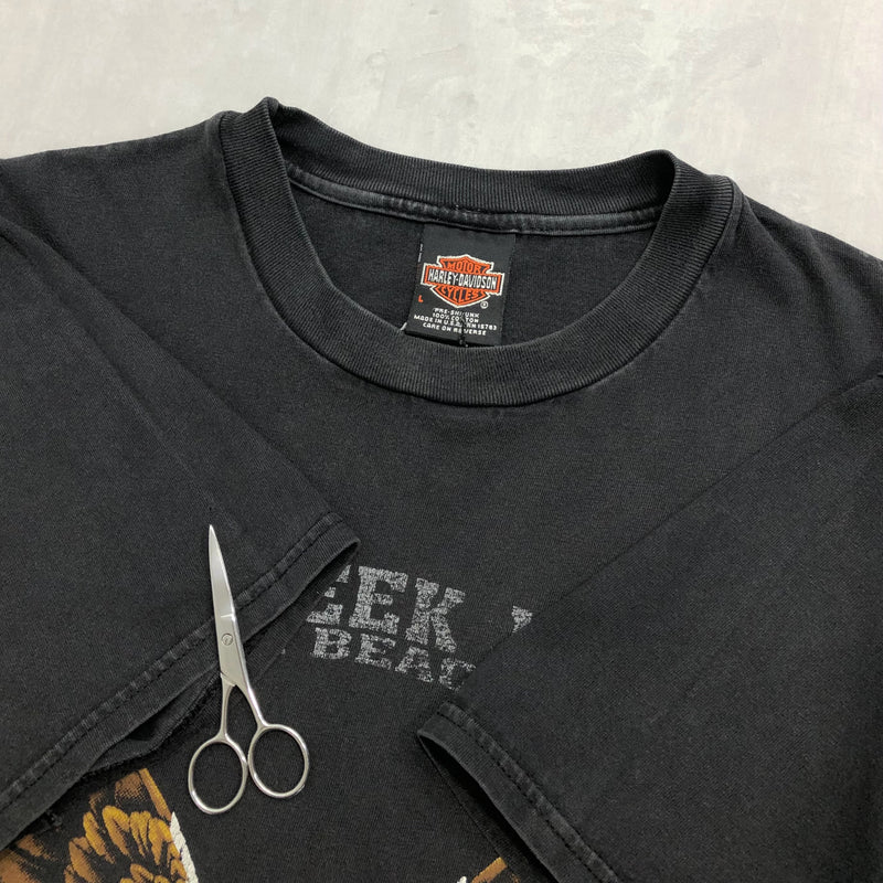 Harley Davidson T-Shirt 1998 Bikeweek Daytona Beach Florida USA (L)