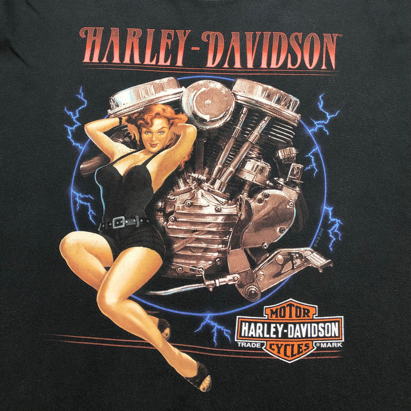 Harley Davidson T-Shirt Black River Falls Wisconsin (2XL)